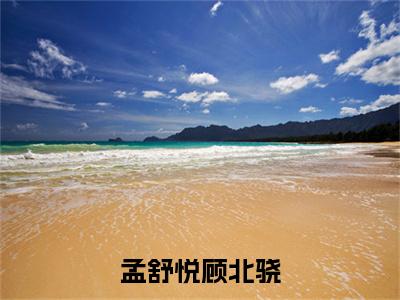 孟舒悦顾北骁全文免费阅读大结局_顾北骁孟舒悦已完结全集孟舒悦顾北骁大结局小说