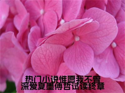 热门小说惟愿我不曾深爱夏墨傅哲试读终章( 夏墨傅哲)全文免费读无弹窗大结局_ 夏墨傅哲免费小说热门小说惟愿我不曾深爱夏墨傅哲试读终章读无弹窗最新章节列表_笔趣阁（ 夏墨傅哲）