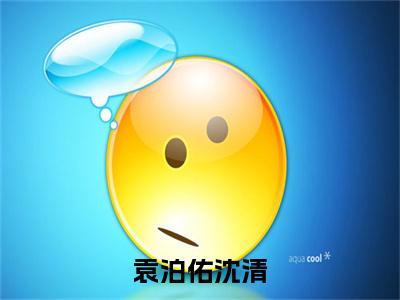 沈清袁泊佑（袁泊佑沈清小说）全文免费阅读无弹窗大结局_袁泊佑沈清小说最新章节列表_笔趣阁（沈清袁泊佑）