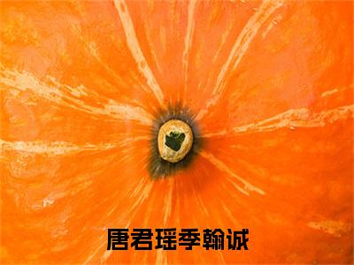 唐君瑶季翰诚(季翰诚唐君瑶)小说全文小说免费阅读_唐君瑶季翰诚最新章节列表笔趣阁（季翰诚唐君瑶）