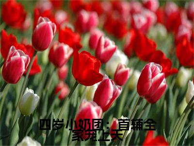 四岁小奶团：首辅全家宠上天小说（袁珍珍顾遇）全文免费阅读无弹窗大结局_四岁小奶团：首辅全家宠上天全文免费完结版阅读（袁珍珍顾遇）