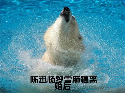 肺癌离婚后，他靠捡漏怒赢六千万（ 陈迅杨梦雪）全文免费阅读_肺癌离婚后，他靠捡漏怒赢六千万小说最新章节列表笔趣阁