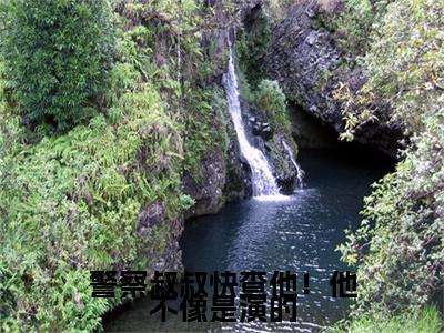 警察叔叔快查他！他不像是演的（李阳）全文免费阅读无弹窗大结局_警察叔叔快查他！他不像是演的（李阳）小说全文免费阅读最新章节列表_笔趣阁