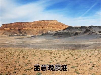 顾淮孟意晚精彩小说-孟意晚顾淮全章节免费阅读