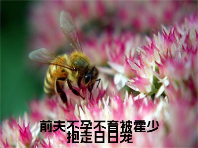 喻青青霍景年长篇免费小说，前夫不孕不育被霍少抱走日日宠最新章节在线阅读