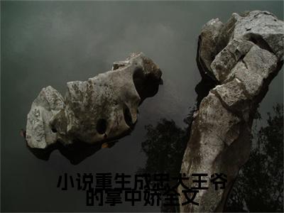重生成忠犬王爷的掌中娇（ 沈念汐慕君染）全文免费阅读无弹窗完整版，(重生成忠犬王爷的掌中娇)免费阅读全文最新章节列表_笔趣阁