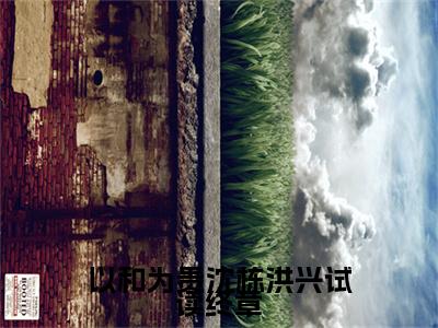  沈栋洪兴（以和为贵沈栋洪兴试读终章）全文阅读完整版_以和为贵沈栋洪兴试读终章小说免费阅读大结局（ 沈栋洪兴）