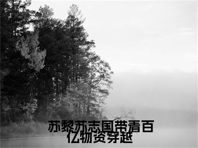 带着百亿物资穿越，姐在七零杀疯了（ 苏黎苏志国）全文免费阅读无弹窗_带着百亿物资穿越，姐在七零杀疯了（ 苏黎苏志国小说完整版）最新章节列表