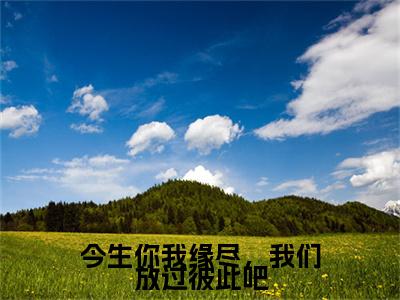 齐烟云子蔺（今生你我缘尽，我们放过彼此吧）小说最后结局-（今生你我缘尽，我们放过彼此吧）完结版免费阅读