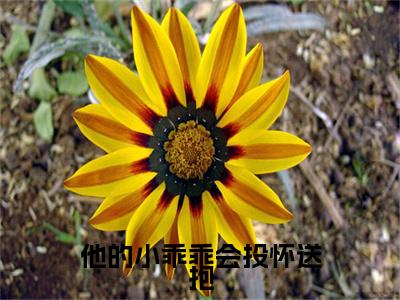 他的小乖乖会投怀送抱(许滢萧煦)多人追免费无弹窗小说-主角许滢萧煦完整版在线阅读(他的小乖乖会投怀送抱)