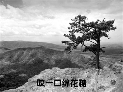 沈意绵沈丛白是咬一口绵花糖的小说（沈意绵沈丛白）免费读_小说免费咬一口绵花糖读-笔趣阁
