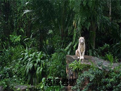 君邺洛缡（洛缡君邺）完整版小说阅读_洛缡君邺全文免费阅读笔趣阁（君邺洛缡）