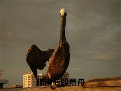 陈漫筱段景舟小说(段景舟陈漫筱)全文免费阅读无弹窗大结局_(陈漫筱段景舟)段景舟陈漫筱最新章节列表(段景舟陈漫筱)