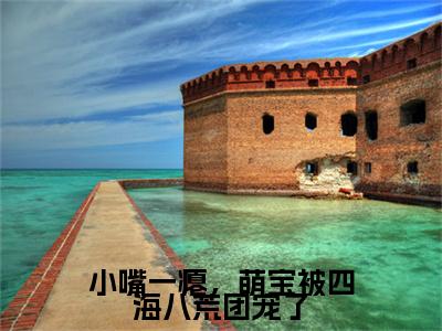 小嘴一瘪,萌宝被四海八荒团宠了(叶九霖)小说免费无弹窗大结局-小嘴一瘪,萌宝被四海八荒团宠了小说全文完整版阅读