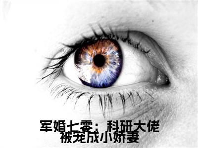 宋晏洲叶暮无弹窗（军婚七零：科研大佬被宠成小娇妻）全文免费阅读无弹窗大结局_（宋晏洲叶暮无弹窗）军婚七零：科研大佬被宠成小娇妻无弹窗最新章节列表笔趣阁