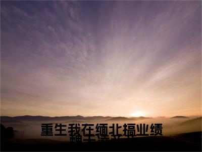 重生我在缅北搞业绩（ 魏天凌菲菲小说）小说全文免费阅读_重生我在缅北搞业绩 魏天凌菲菲小说下载_最新章节列表笔趣阁（重生我在缅北搞业绩）