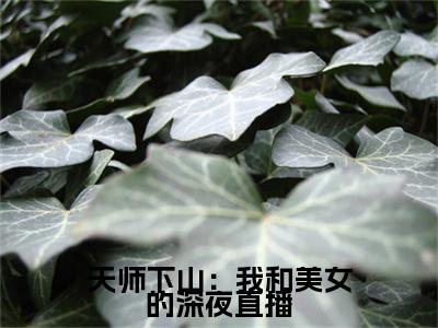 秦宁新书天师下山：我和美女的深夜直播看全文小说-秦宁小说资源阅读天师下山：我和美女的深夜直播