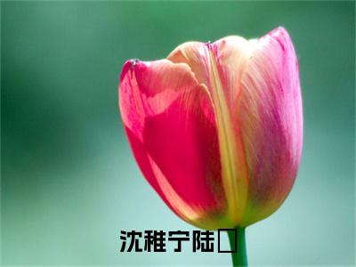 沈稚宁陆璟(陆璟沈稚宁)抖音热推小说全集无删减,陆璟沈稚宁小说在线免费阅读大结局