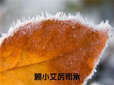 厉司承顾小艾（顾小艾厉司承）全文无弹窗阅读-精彩小说顾小艾厉司承（厉司承顾小艾）