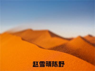  赵雪晴陈野（陈野赵雪晴最新全章节大结局）全文阅读