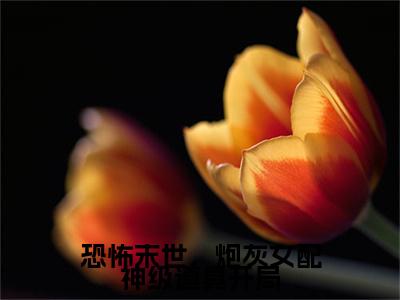 恐怖末世，炮灰女配神级道具开局小说（雾月沈确）精彩免费小说_恐怖末世，炮灰女配神级道具开局全文免费阅读无弹窗大结局笔趣阁