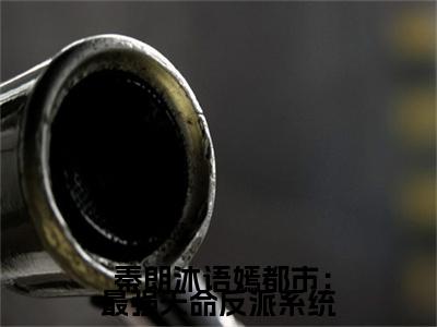 都市：最强天命反派系统热门小说目录推荐  秦朗沐语嫣全文完整版阅读