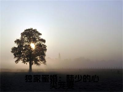 独家蜜婚：陆少的心尖宠妻（莫暖陆琛）全文免费阅读无弹窗大结局_(独家蜜婚：陆少的心尖宠妻)免费阅读无弹窗最新章节列表_笔趣阁（莫暖陆琛）