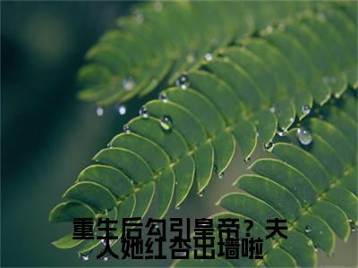重生后勾引皇帝？夫人她红杏出墙啦（ 燕远征徐晚凝 ）全文免费阅读_重生后勾引皇帝？夫人她红杏出墙啦言诺诺,井傅宸 小说最新章节列表笔趣阁