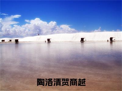 贺商越陶洛清在线阅读（陶洛清贺商越小说）全文免费阅读无弹窗大结局_陶洛清贺商越免费最新章节列表_笔趣阁（贺商越陶洛清小说）