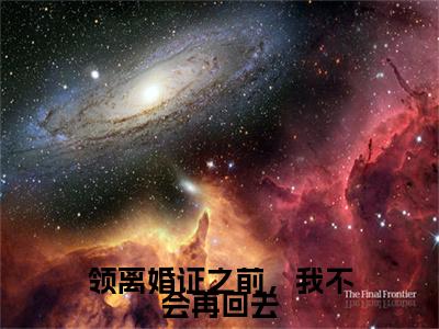 顾予墨姜雪（领离婚证之前，我不会再回去）免费阅读无弹窗大结局-领离婚证之前，我不会再回去完整版最新阅读