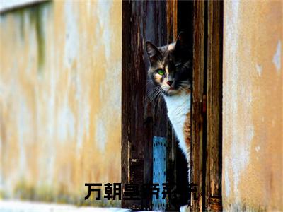 万朝皇帝系统，开局召唤六剑奴（ 苏梦雪秦霄）笔趣阁免费小说_万朝皇帝系统，开局召唤六剑奴笔趣阁最新章节 苏梦雪秦霄免费在线阅读大结局