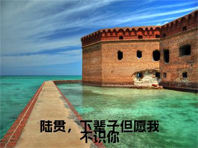 盛惜陆贯（陆贯，下辈子但愿我不识你）小说全文在线阅读_盛惜陆贯最新章节在线阅读_笔趣阁