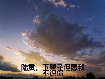 陆贯，下辈子但愿我不识你（盛惜陆贯）全文免费阅读无弹窗完整版，(陆贯，下辈子但愿我不识你)免费阅读全文最新章节列表_笔趣阁