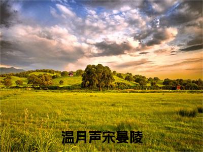 温月声宋晏陵宋晏陵温月声(宋晏陵温月声小说)全文免费阅读无弹窗大结局_(宋晏陵温月声小说免费阅读全文大结局)最新章节列表_笔趣阁(温月声宋晏陵小说)