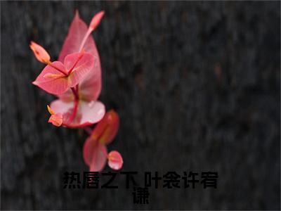  叶衾许宥谦小说全文-热唇之下精选小说 叶衾许宥谦大结局阅读