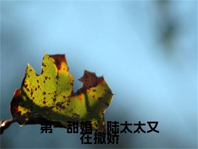 第一甜婚：陆太太又在撒娇（周绵绵陆书俊）精彩热门小说-第一甜婚：陆太太又在撒娇全章节免费阅读