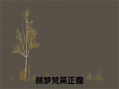 林梦梵吴正霆（吴正霆林梦梵大结局小说全集完整版）_（吴正霆林梦梵小说）林梦梵吴正霆全文阅读笔趣阁
