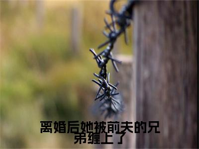离婚后她被前夫的兄弟缠上了（洛晚宁易延舟）新上热文小说全文免费阅读-小说（洛晚宁易延舟）完整版阅读