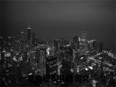 陆司礼陆司文温韵是什么小说温韵陆司礼陆司文-（温韵陆司礼陆司文全文阅读）最新章节列表