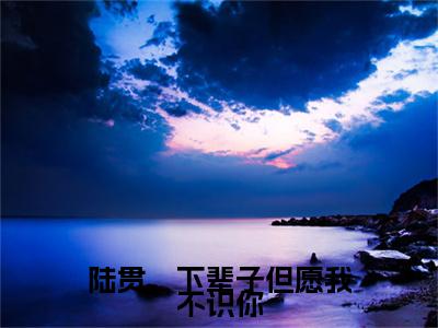 陆贯，下辈子但愿我不识你（盛惜陆贯）全文免费阅读无弹窗_盛惜陆贯最新小说_笔趣阁