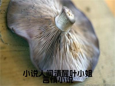小说人间清醒叶小姐（ 叶瑶盛宣）全文免费阅读无弹窗大结局_( 叶瑶盛宣)小说人间清醒叶小姐免费阅读无弹窗最新章节列表_笔趣阁（小说人间清醒叶小姐）