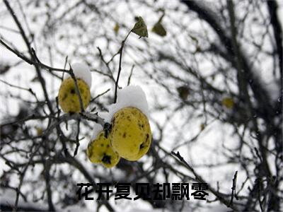 花开复见却飘零（花灵月秦珏寒）精彩小说-小说花灵月秦珏寒全文无删减版免费阅读