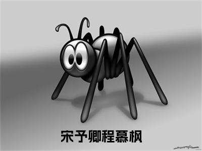 程慕枫宋予卿（宋予卿程慕枫）小说大结局免费阅读（宋予卿程慕枫）-完结版程慕枫宋予卿小说推荐