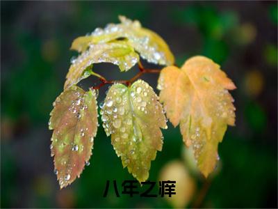  傅凌安安精选热门小说 八年之痒，白月光也成黄脸婆傅凌安安试读全篇版已完结全集大结局