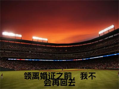 （顾予墨姜雪小说完整版）领离婚证之前，我不会再回去全文免费阅读-（领离婚证之前，我不会再回去）顾予墨姜雪小说最新章节列表
