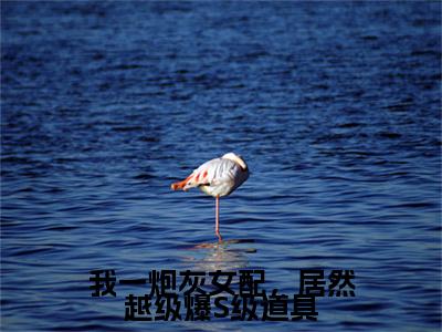 雾月沈确今日阅读更新，我一炮灰女配，居然越级爆S级道具全文在线看