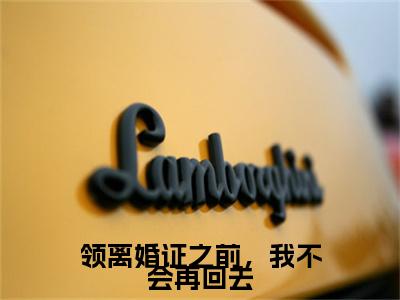 顾予墨姜雪（领离婚证之前，我不会再回去）在哪里可以免费看-领离婚证之前，我不会再回去（顾予墨姜雪）小说全章节免费阅读