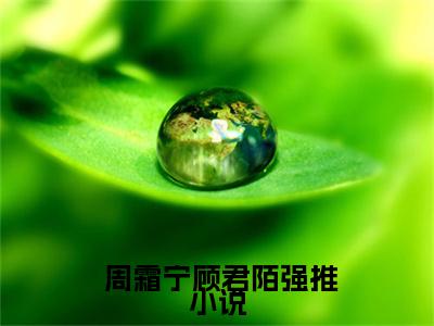 穿书成了恶毒女配，她选择抱大腿周霜宁顾君陌小说 周霜宁顾君陌最新更新— 周霜宁顾君陌小说美文赏析