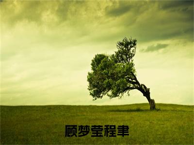 程聿顾梦莹小说(顾梦莹程聿)完整版小说阅读_程聿顾梦莹全本列表免费笔趣阁