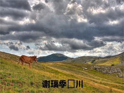 谢璃季璟川小说免费阅读（季璟川谢璃）全文免费阅读大结局-（谢璃季璟川小说免费阅读）好书推荐